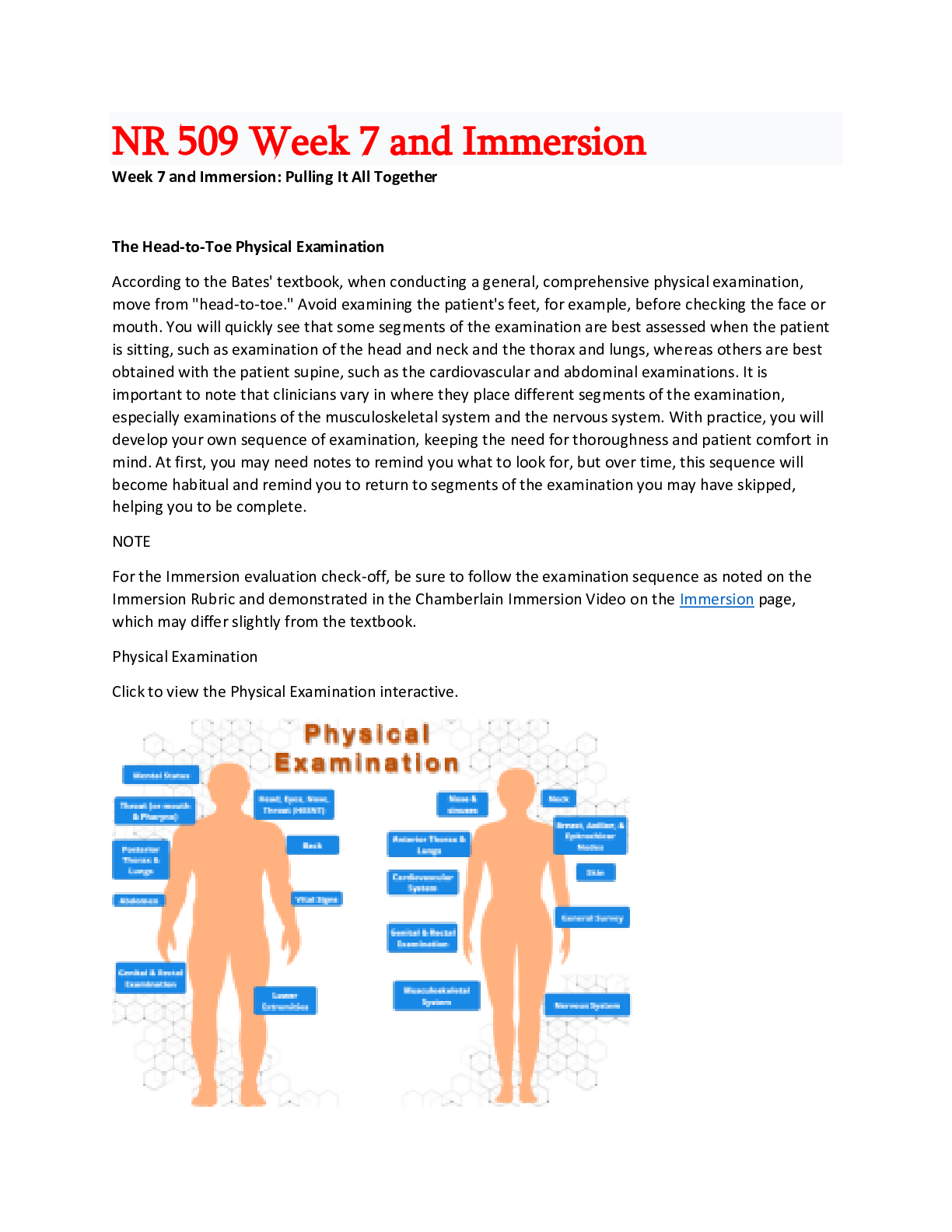 Preview image for NR 509 Week 7 and Immersion